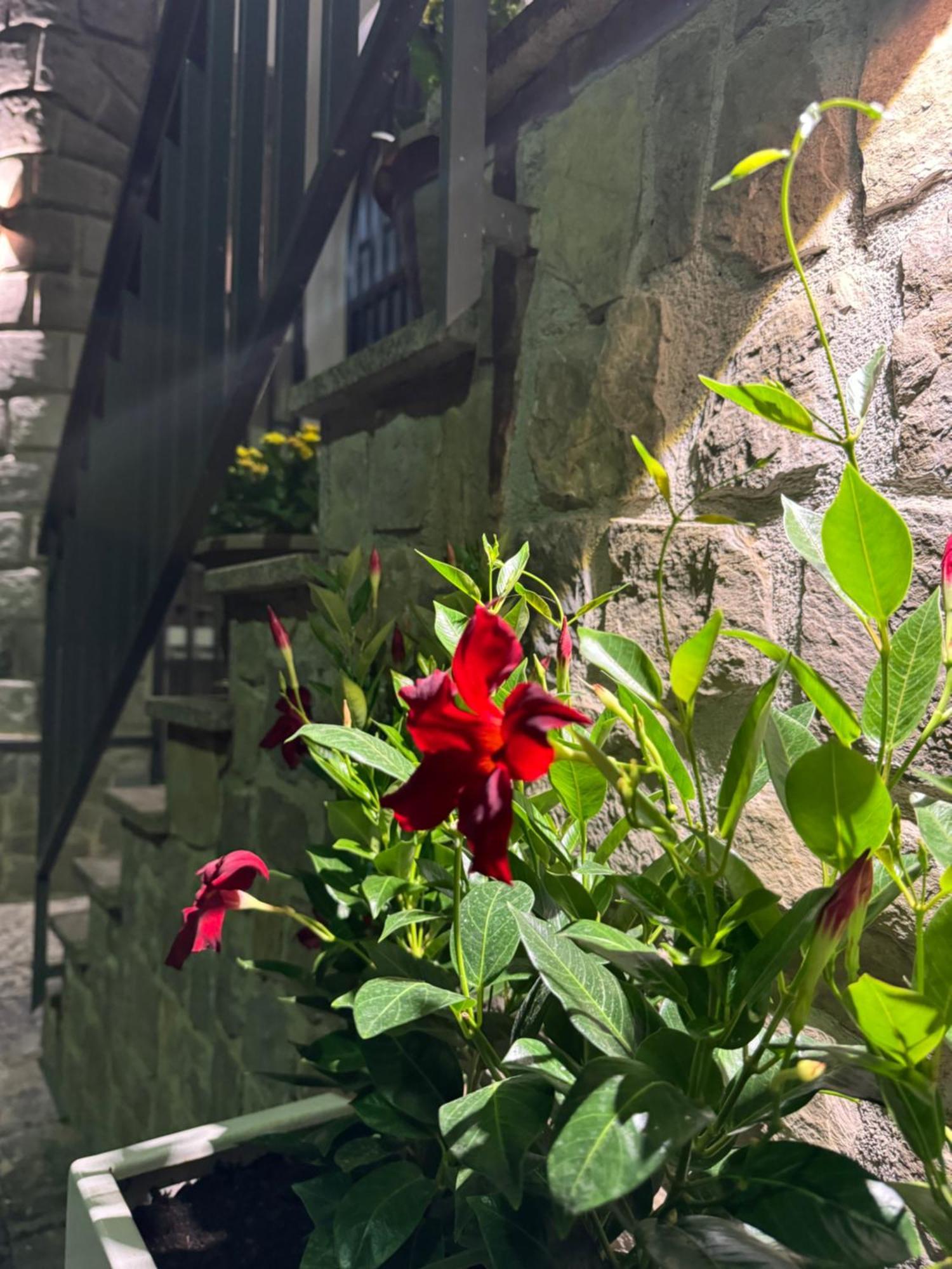 Solimena House 44 Nocera Inferiore Exterior photo